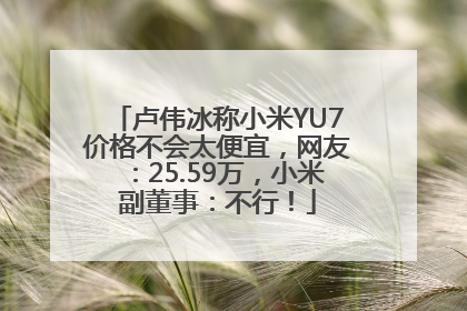 卢伟冰称小米YU7价格不会太便宜，网友：25.59万，小米副董事：不行！