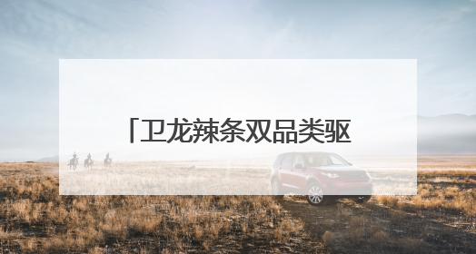 卫龙辣条双品类驱动，领航辣味休闲食品行业千亿赛道