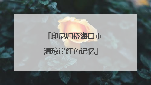 印尼归侨海口重温琼崖红色记忆