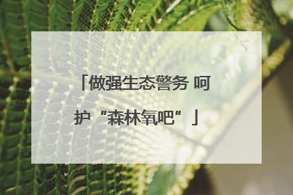做强生态警务 呵护“森林氧吧”