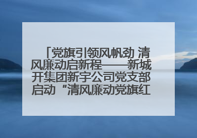 党旗引领风帆劲 清风廉动启新程——新城开集团新宇公司党支部启动“清风廉动党旗红”系列活动