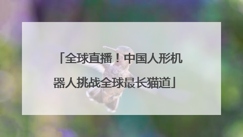 全球直播！中国人形机器人挑战全球最长猫道