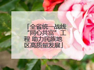全省统一战线“同心共富”工程 助力民族地区高质量发展
