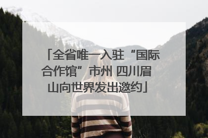 全省唯一入驻“国际合作馆”市州 四川眉山向世界发出邀约