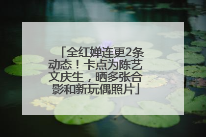 全红婵连更2条动态！卡点为陈艺文庆生，晒多张合影和新玩偶照片
