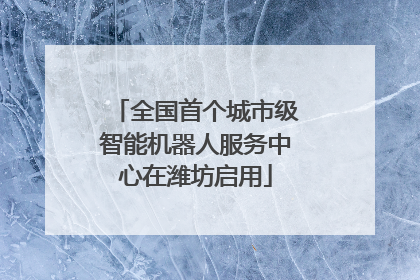 全国首个城市级智能机器人服务中心在潍坊启用