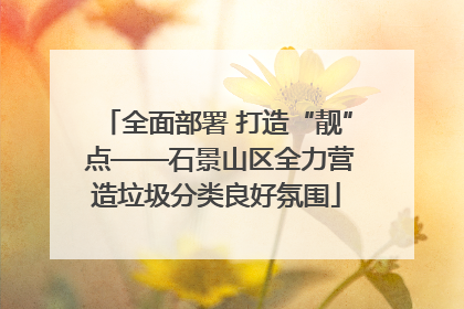 全面部署 打造“靓” 点——石景山区全力营造垃圾分类良好氛围
