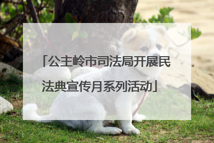公主岭市司法局开展民法典宣传月系列活动