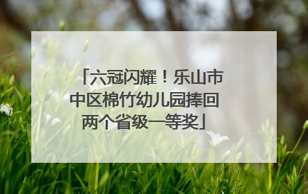 六冠闪耀！乐山市中区棉竹幼儿园捧回两个省级一等奖