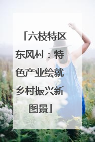 六枝特区东风村：特色产业绘就乡村振兴新图景
