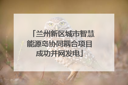 兰州新区城市智慧能源岛协同耦合项目成功并网发电
