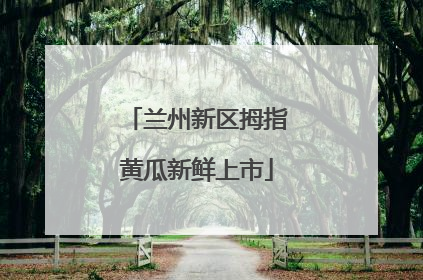 兰州新区拇指黄瓜新鲜上市