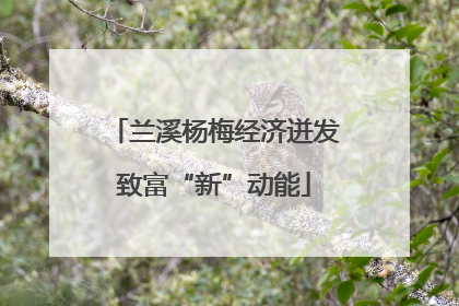 兰溪杨梅经济迸发致富“新”动能