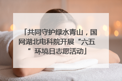 共同守护绿水青山，国网湖北电科院开展“六五”环境日志愿活动