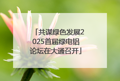 共谋绿色发展2025首届绿电铝论坛在大通召开