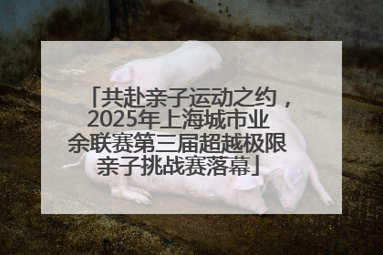 共赴亲子运动之约，2025年上海城市业余联赛第三届超越极限亲子挑战赛落幕