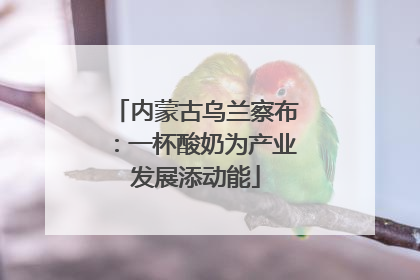 内蒙古乌兰察布：一杯酸奶为产业发展添动能