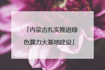 内蒙古扎实推进绿色算力大基地建设