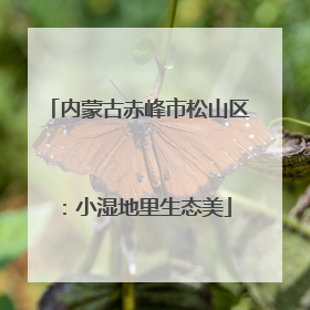 内蒙古赤峰市松山区：小湿地里生态美