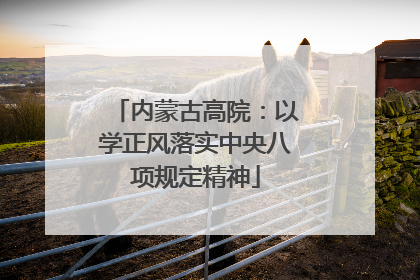 内蒙古高院：以学正风落实中央八项规定精神