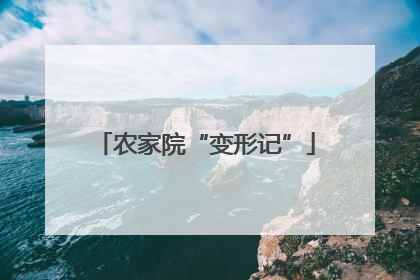 农家院“变形记”