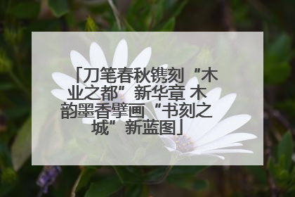 刀笔春秋镌刻“木业之都”新华章 木韵墨香擘画“书刻之城”新蓝图