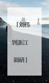 刘伟到浙江调研