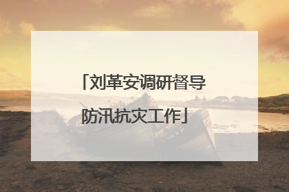 刘革安调研督导防汛抗灾工作