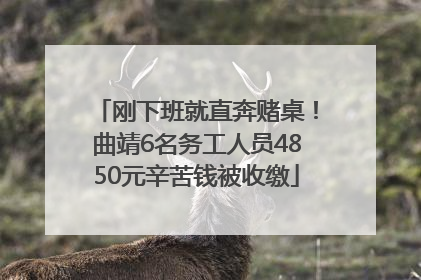 刚下班就直奔赌桌！曲靖6名务工人员4850元辛苦钱被收缴