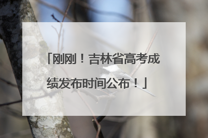 刚刚！吉林省高考成绩发布时间公布！