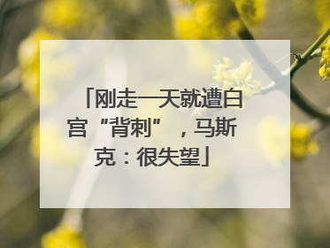 刚走一天就遭白宫“背刺”，马斯克：很失望