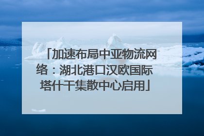 加速布局中亚物流网络：湖北港口汉欧国际塔什干集散中心启用