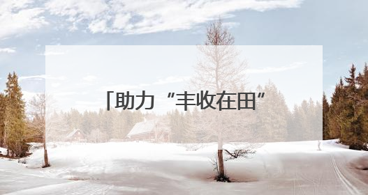 助力“丰收在田”变“丰收到手”，河北各地各部门厉兵秣马迎战“三夏”