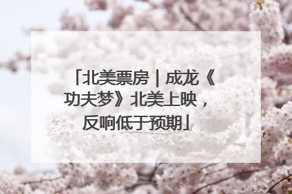 北美票房｜成龙《功夫梦》北美上映，反响低于预期