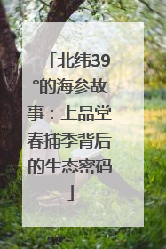 北纬39°的海参故事：上品堂春捕季背后的生态密码