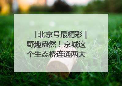 北京号最精彩｜野趣盎然！京城这个生态桥连通两大网红公园