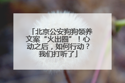 北京公安狗狗领养文案“火出圈”！心动之后，如何行动？我们打听了