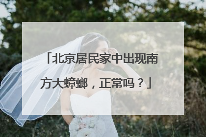 北京居民家中出现南方大蟑螂，正常吗？