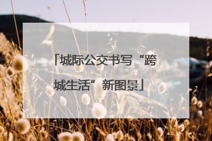 城际公交书写“跨城生活”新图景
