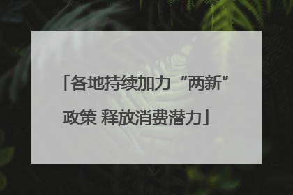 各地持续加力“两新”政策 释放消费潜力