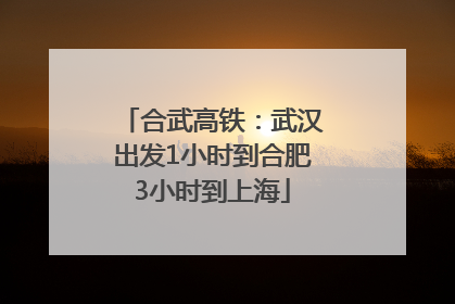 合武高铁：武汉出发1小时到合肥3小时到上海