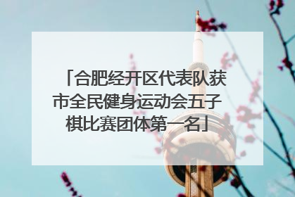 合肥经开区代表队获市全民健身运动会五子棋比赛团体第一名