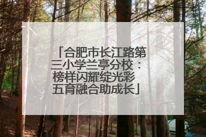 合肥市长江路第三小学兰亭分校：榜样闪耀绽光彩 五育融合助成长