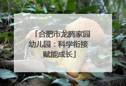 合肥市龙腾家园幼儿园：科学衔接 赋能成长