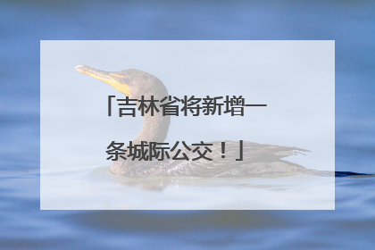 吉林省将新增一条城际公交！