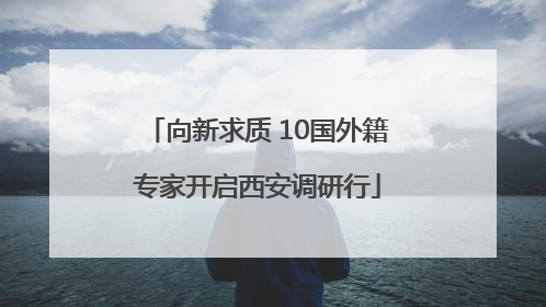 向新求质 10国外籍专家开启西安调研行
