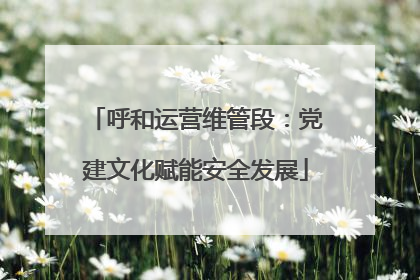 呼和运营维管段：党建文化赋能安全发展