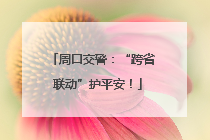 周口交警：“跨省联动”护平安！