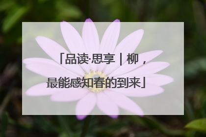 品读·思享｜柳，最能感知春的到来