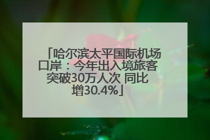 哈尔滨太平国际机场口岸：今年出入境旅客突破30万人次 同比增30.4%